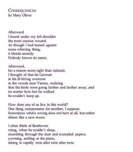 ohMaryOli's tweet photo. Consequences by Mary Oliver.

#maryoliverpoetry #maryoliver https://t.co/4LFNRZfVW9