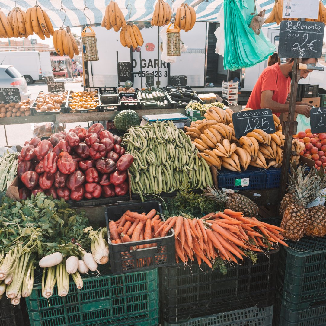 FRSimply's tweet photo. À la recherche des meilleurs légumes à manger en août ?
🥒 Concombres 
🍆 Aubergines 
🍅 Tomates 
🥒 Courgettes 
🥬 Laitues
Profitez des meilleurs légumes d'août et restez au frais pendant cette vague de chaleur écrasante ! 🌞🥗 
#SimplySupplements #Été https://t.co/pEcvnsNtsH