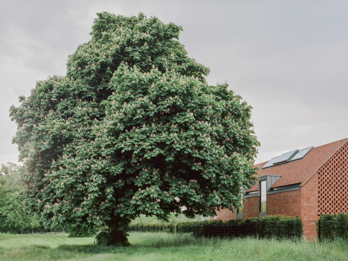 fletchercrane's tweet photo. PROJECT LAUNCH | LOWATER
Forging a relationship with the adjacent church and enveloping the river context, Lowater, seeks to replicate and add to the endearing and enduring locally found architectural qualities. https://t.co/WUxpwLpiWZ