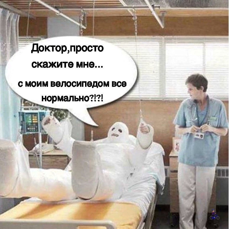 Ёшкин кот v2.0 (@01neansfdsx0dea) on Twitter photo 