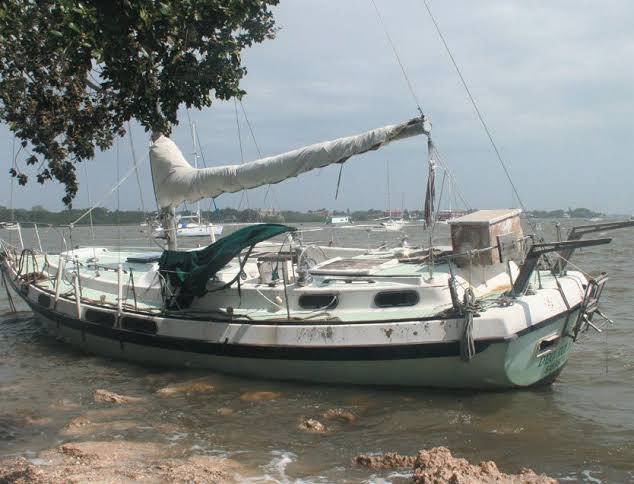 oztyrone tweet media