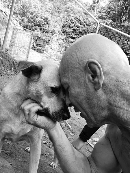 TheSoundOfAnim2's tweet photo. Je me bats autant que je peux pour sauver tous ces chiens
Mais à nouveau nous vivons des temps très durs
Les dons ont chuté et je ne sais plus payer les factures
Plus de livraison de nourriture ni de vétérinaire si nous ne payons pas
Merci de les aider🙏 
https://t.co/78bXS9Kmtq https://t.co/wcsiCNlepR
