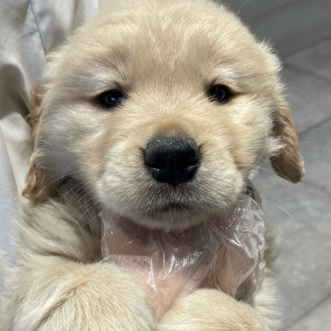 เบบี๋ลูบหัวเค้าหน่อย