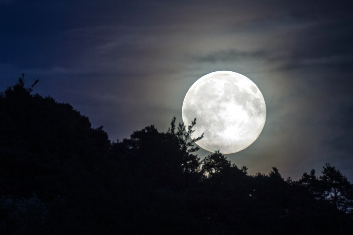 KLewisAdair's tweet photo. #Wednesday Word of the Week

From foundations in Anglo-Saxon, words or phrases and words that are still in use today.

Mona Toforan – Superior Moon

#writers #oldenglish #writingcommunity #writing #HistoricalFiction
https://t.co/DA4Fkj8ow1 https://t.co/SxmDLn0CBc