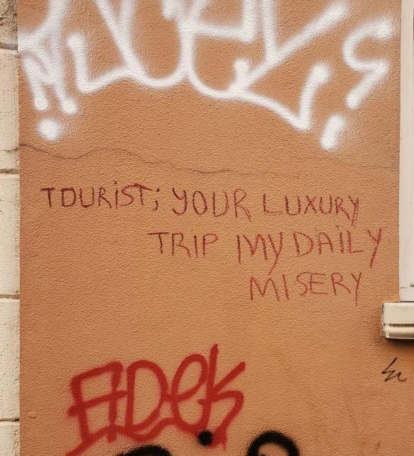 Angry Cats tweet media