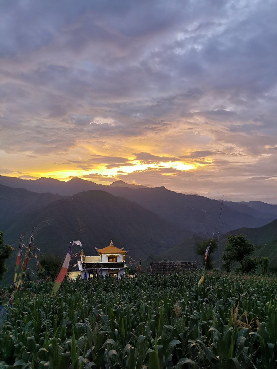 topoftheworldtr's tweet photo. Sunset view from Temal Trek 🙏. #topoftheworldtreks #trekking #hiking #tour #culturetrip #buddhism #buddhist #namobuddha #naturelovers #naturewalking #nepalnow #lolyplace
Fall season is next to your #corner please this is the right time to book your trip to Nepal with us. https://t.co/jhOjvBZrvK