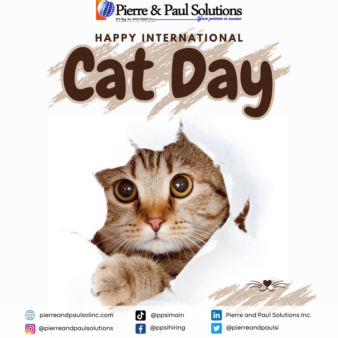 pierreandpaulsi's tweet photo. International Cat Day celebrates the ancient, independent, curious, adventurous cats, who have been worshiped as gods in Egypt. They possess remarkable physiognomy and healing abilities.

Your partner in success! 

#PPSI #BPOhiring #InternationalCatDay https://t.co/lzX6OBAOp7
