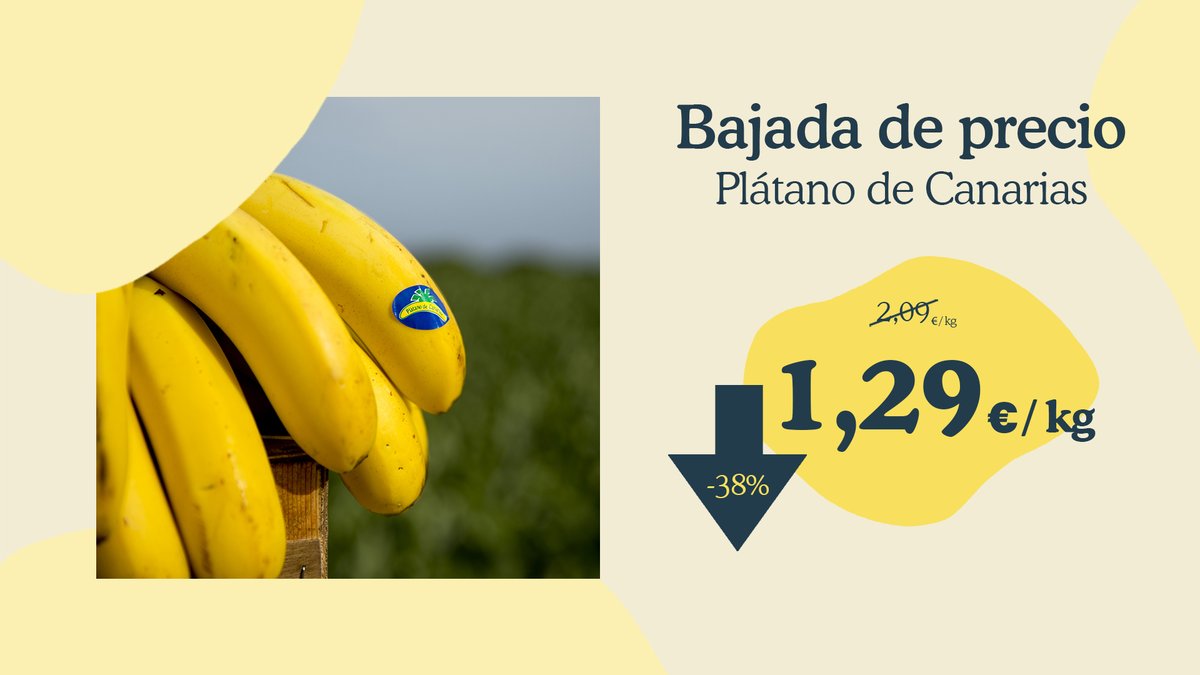 ¡A partir del 3 de agosto en los supermercados @lidlespana puedes disfrutar de lo mejor de las islas Canarias a un precio especial! 🌞🏝️ Elige una fruta sostenible, local y llena de nutrientes que cuida de ti y del planeta. 🌱🌍 😋🍌