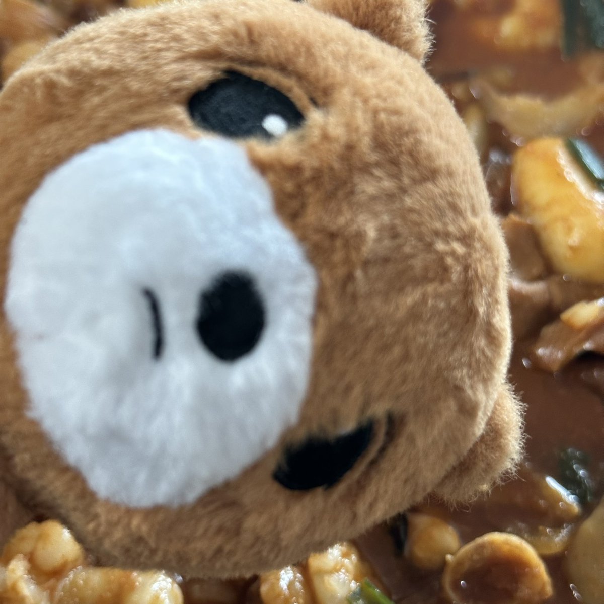 동배 >>>>> 낙곱새