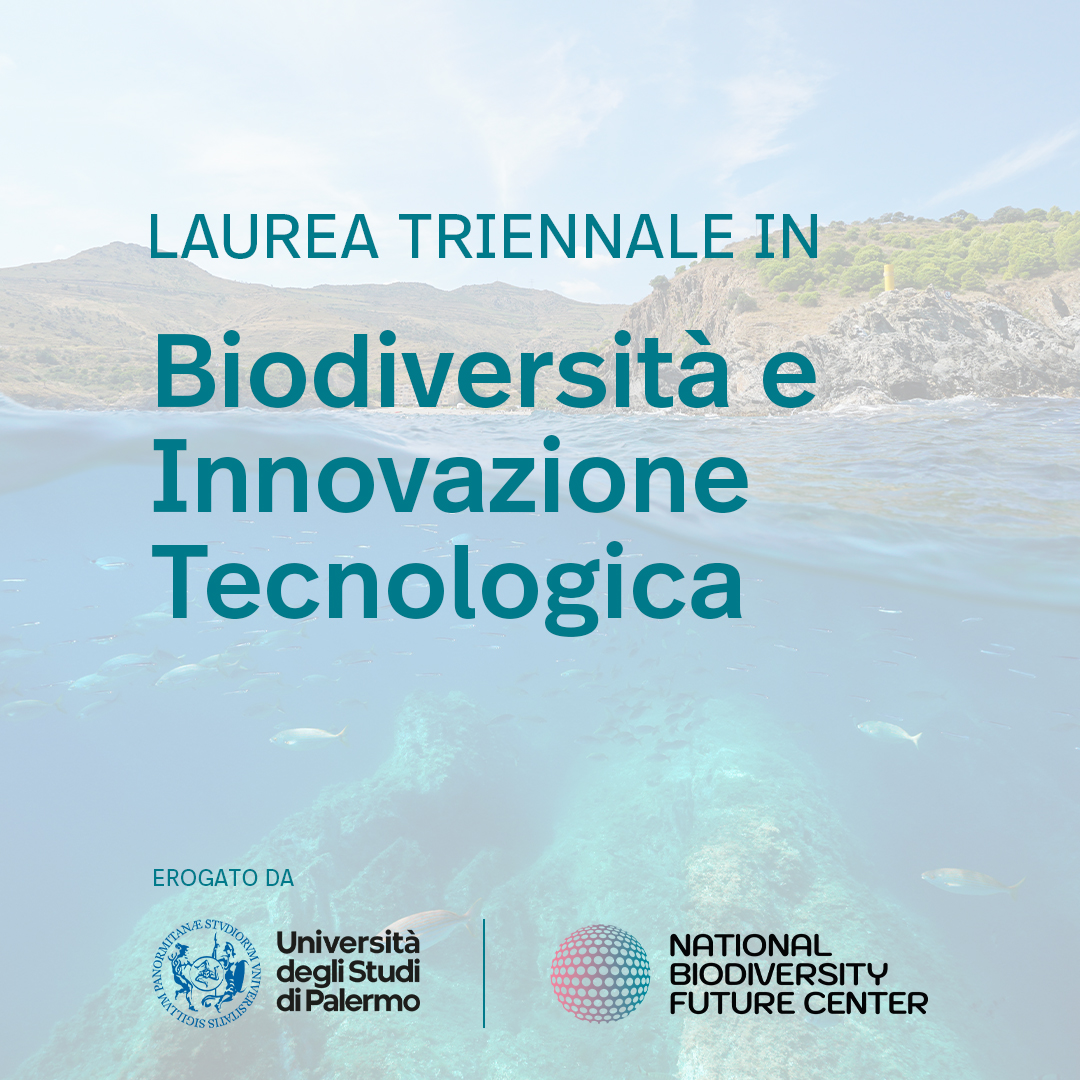 📚 <a href="/unipa_it/">UniPa</a> lancia il corso triennale in Biodiversità e Innovazione Tecnologica!

💼 Formerà laureati capaci di affrontare le sfide della biodiversità e del cambiamento climatico. Iscriviti ora!

#nbfc #biodiversity #laureatriennale #unipa