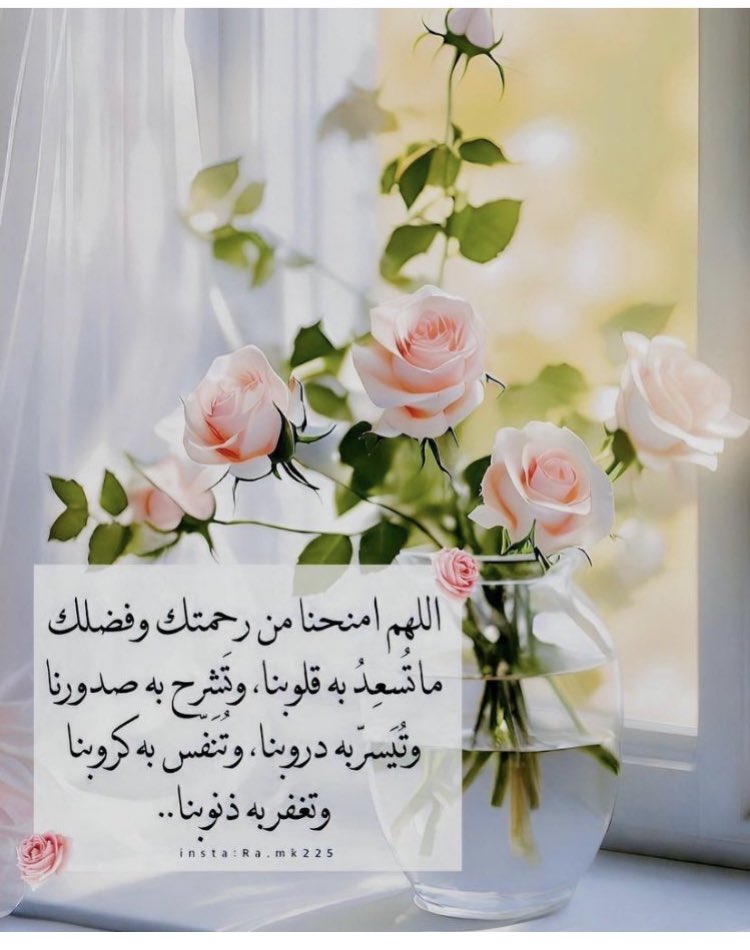 ام محمد tweet media