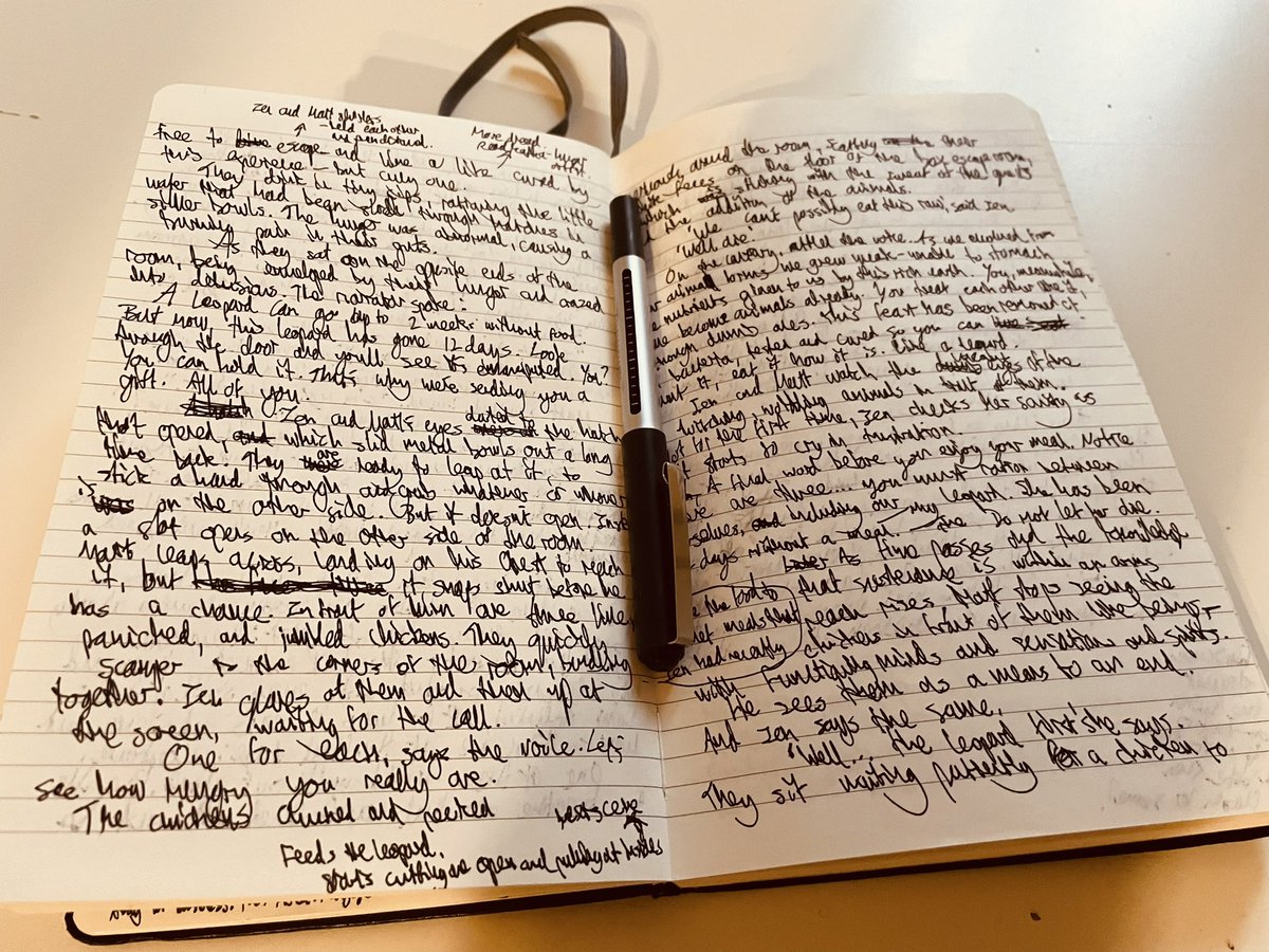 I’ve been chilling. Prioritising.

(+ letting the dust settle after this platform got renamed to a letter 😅)

Finished another short story draft, and have been putting more work into my website.

Summer is a slow season - so a perfect time for reflection.
