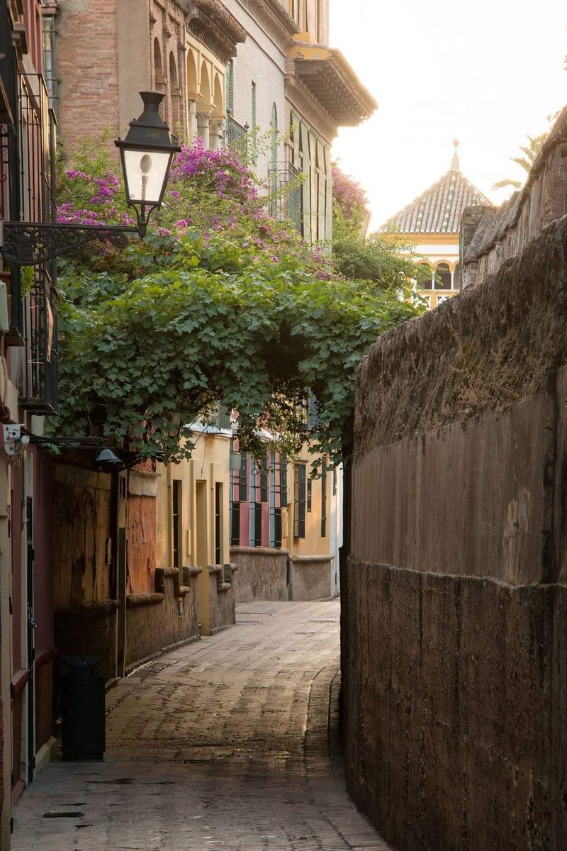 Callejon del agua, llamado así porque El califa almohade Abub Yusuf Yacub a finales del siglo XII manda construir cañerías de agua sobre los restos y trazado del antiguo acueducto romano, con este califa se inicio la construcción de la Giralda y el puente de barcas. #BuenosDias