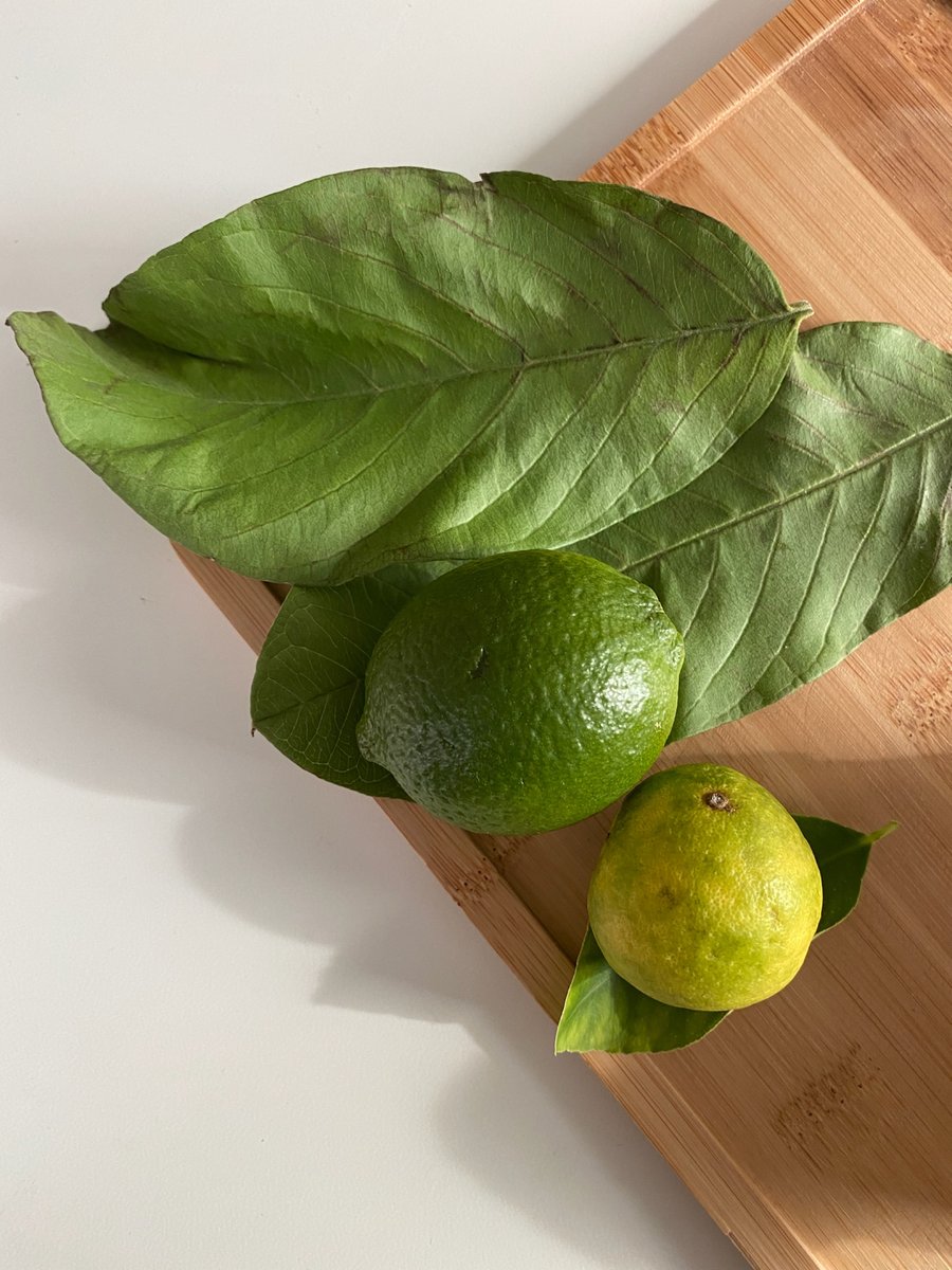 Vilunü | Scents of Maldives tweet media