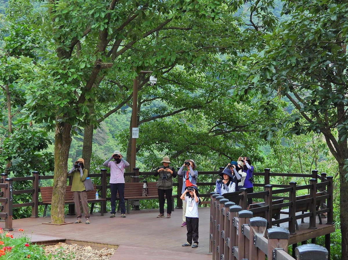 Recent posts: Birds in Seogwipo Natural Recreational Forest by Leslie Hurteau: birdskoreablog.org/?p=27673
Education Program in the Yeoncheon Imjin River Biosphere Reserve:
birdskoreablog.org/?p=27653
Strengthening Biodiversity Conservation in the ROK:
birdskoreablog.org/?p=27615