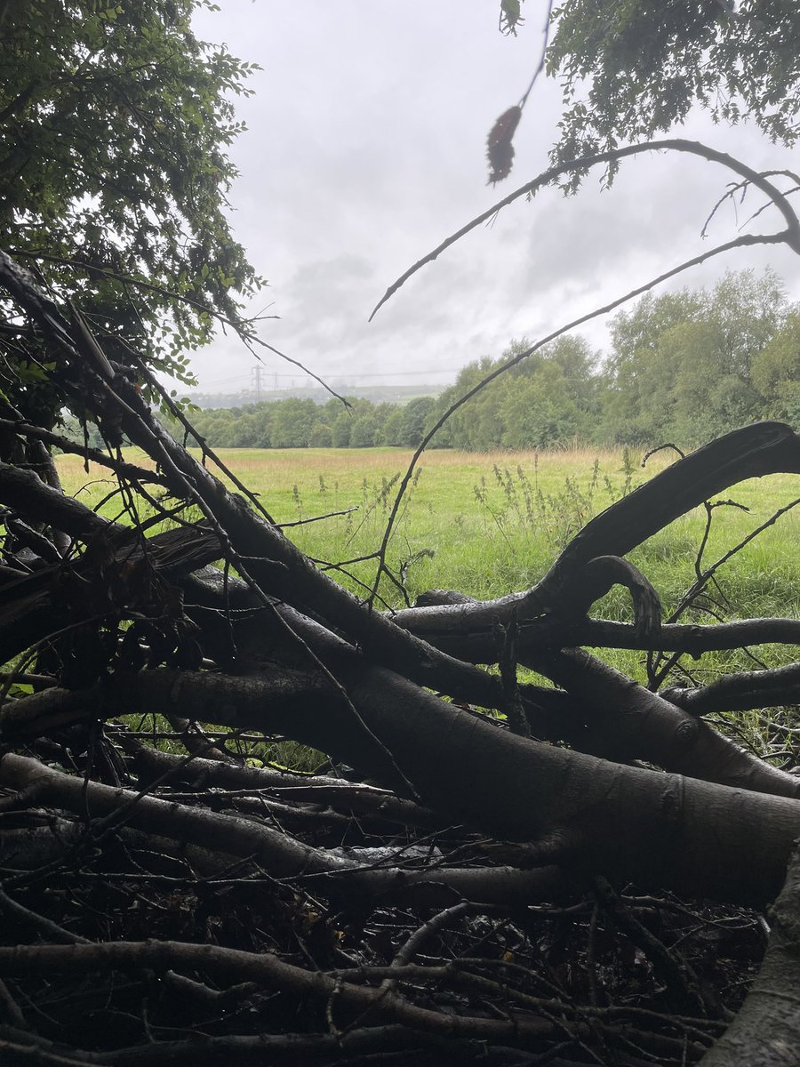 All was quiet in the enemy position on Day 3 in the field!