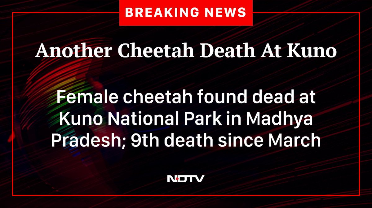 ndtv's tweet photo. #Cheetah https://t.co/zOaIMtGNUJ