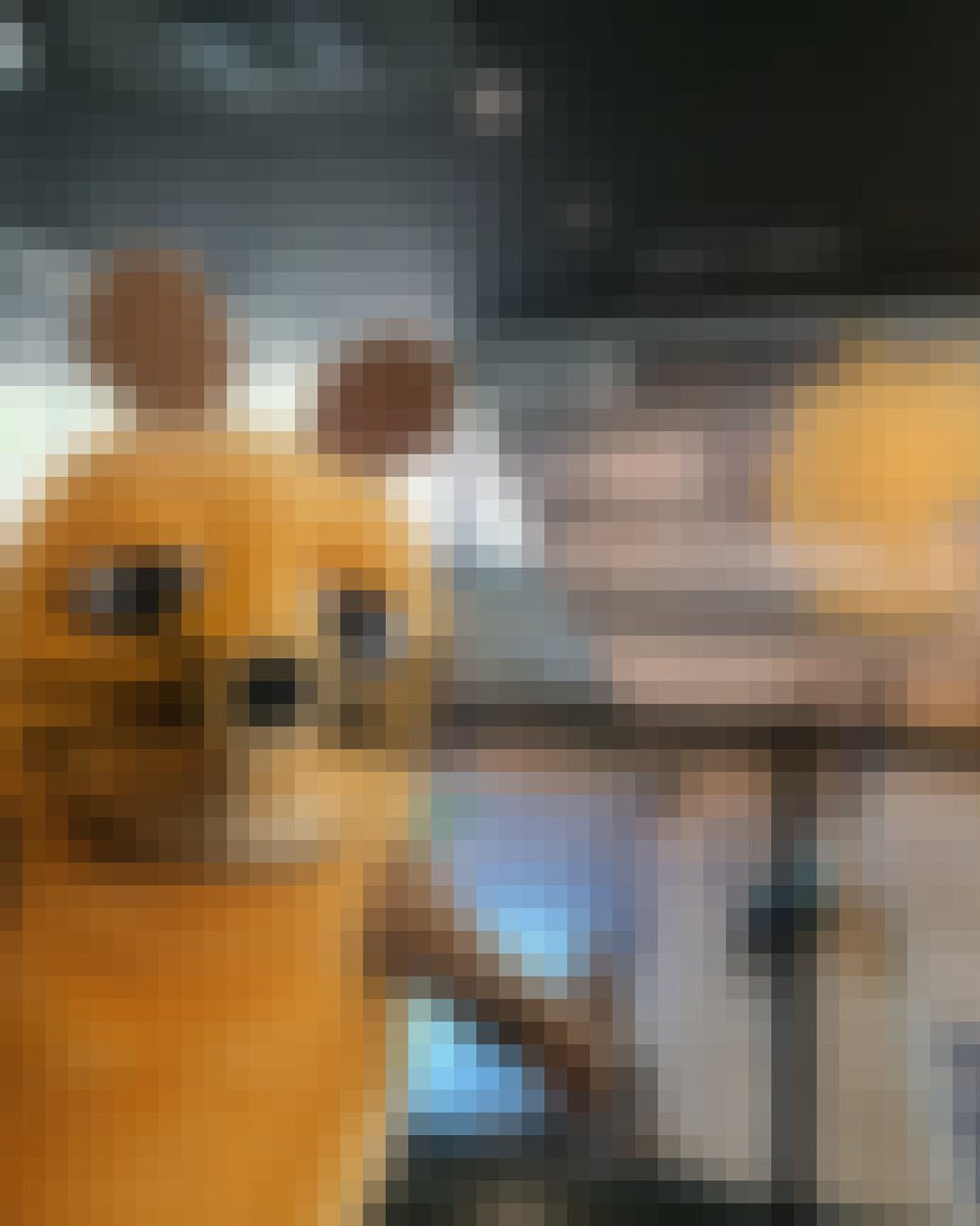 Das unlösbarste Rätsel der Welt: Welche Prominente hat uns hier besucht❓👀