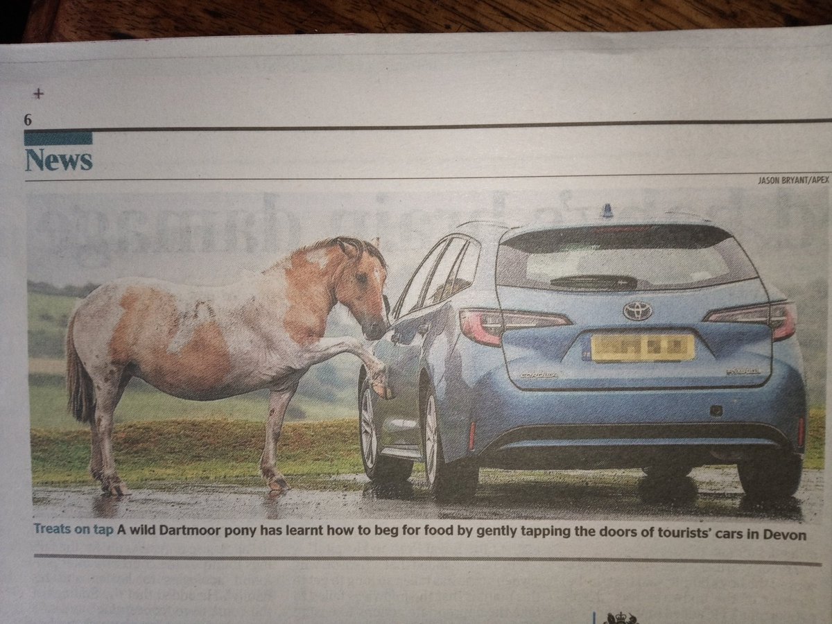 @RuthOnTheHoof @NatGeo @EachNanEilean @eriskaypony_eps @RBSTrarebreeds @rbstnorthscot @RbstScotland @RareBreedChris @NatGeoMag @NatGeoTravel @NatGeoPR In similar vein, there are so many things wrong here. (@thetimes today)