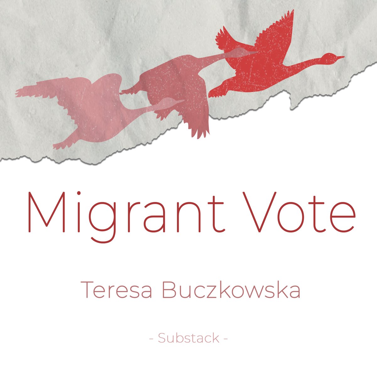 TBuczkowska's tweet photo. A new section 'Notes on Leadership' is coming to the #MigrantVote newsletter. It will be a section on building migrant #leadership (individual and collective). A new post will be out on August 14th. https://t.co/lexh71RZwd