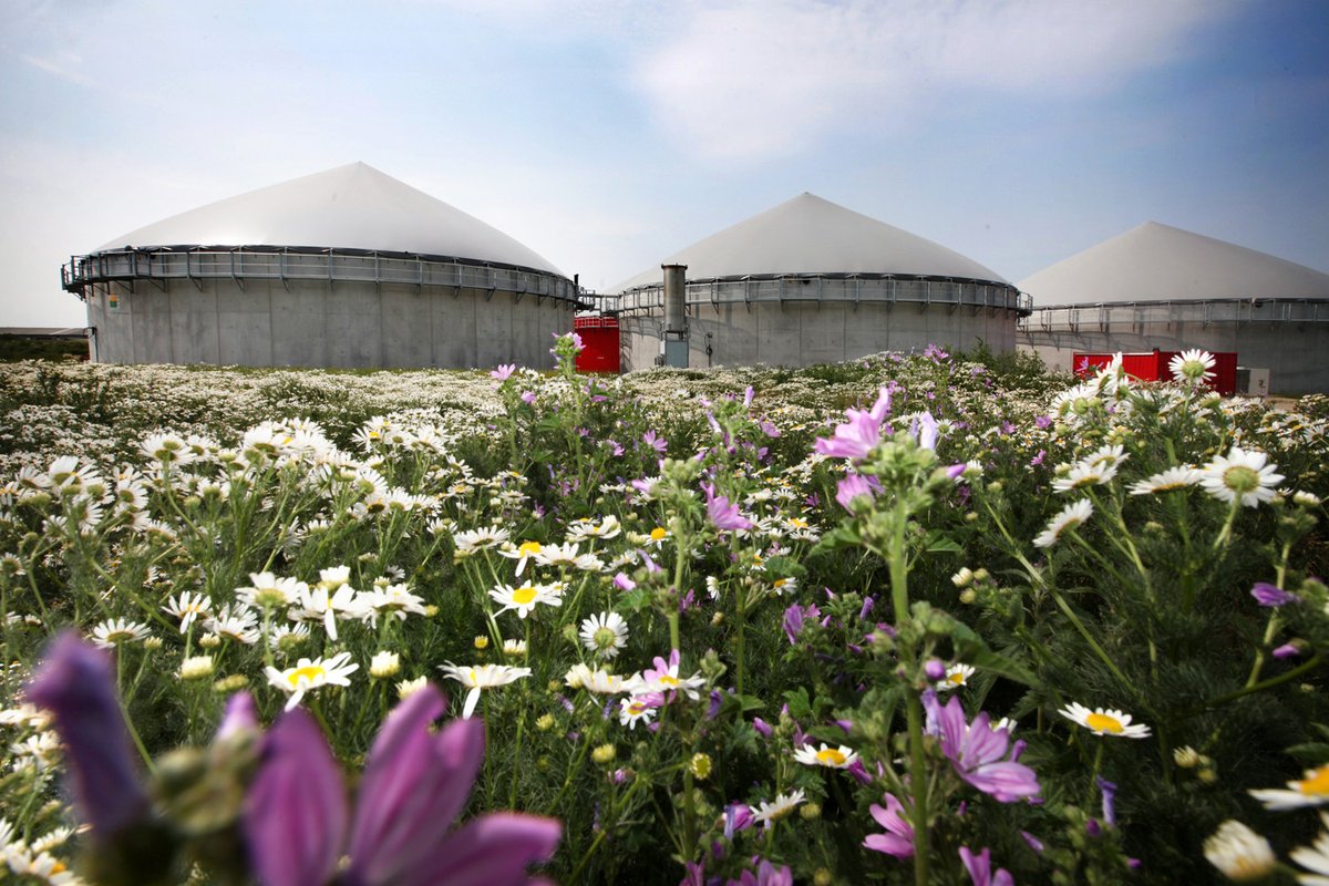 Heute ist mal wieder viel zu früh #EarthOvershootDay. #Nachhaltige #Kreislaufwirtschaft und die konsequente Verwendung von #Reststoffen und #Abfällen hilft innerhalb der #planetarenGrenzen zu bleiben. #Biogas liefert hier einen wichtigen Beitrag, gibts aber nicht zum #Nulltarif!