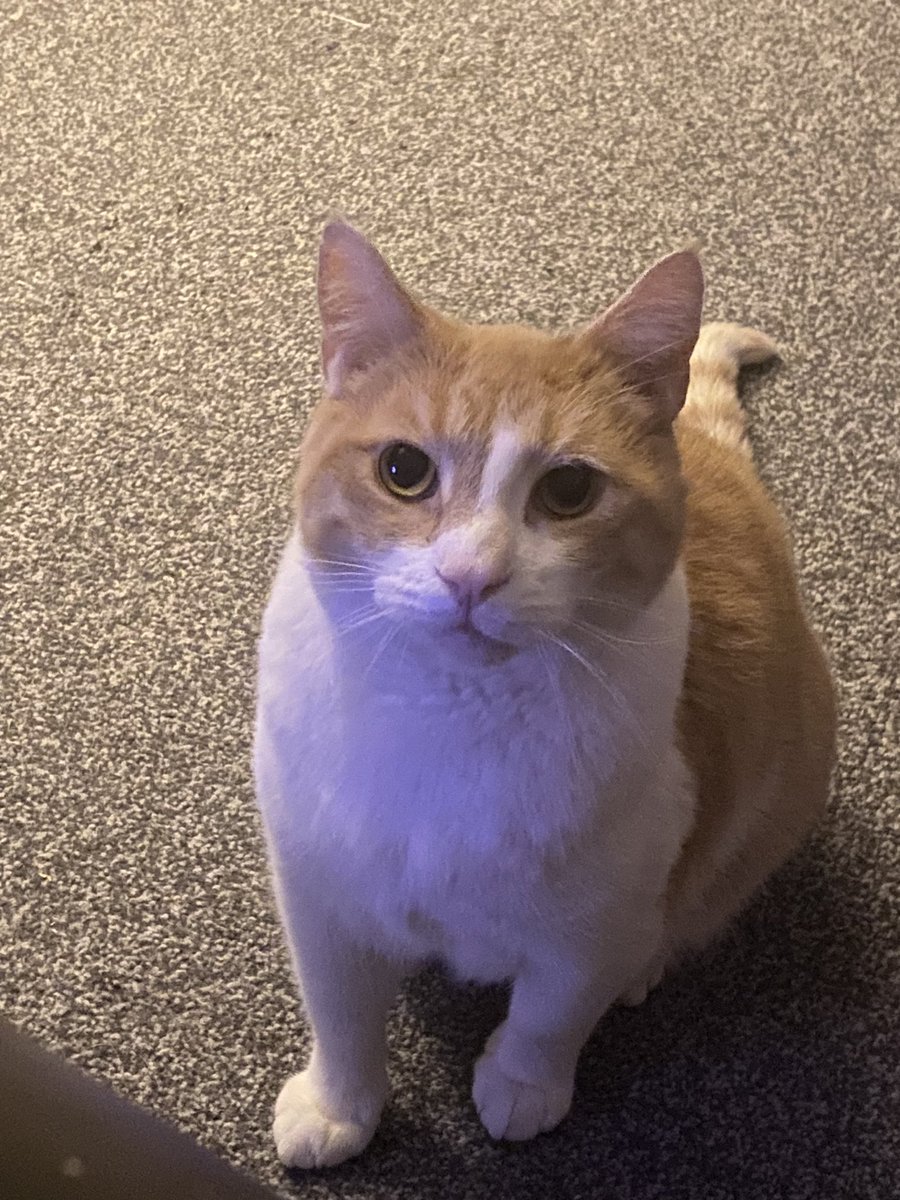 Percy👀 tweet media