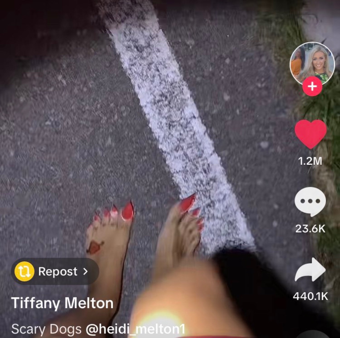 Wild TikToks tweet media