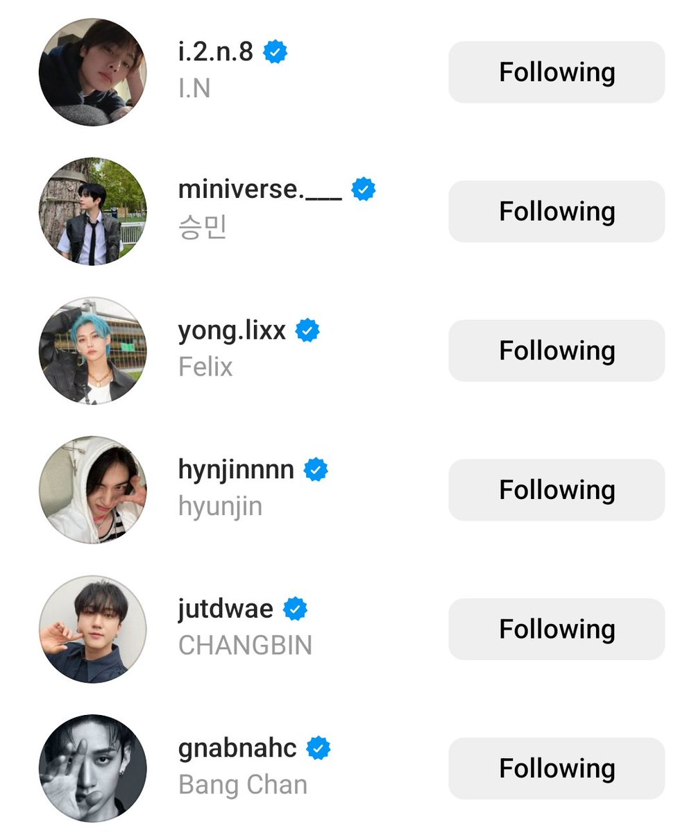 my stray kids 🤍