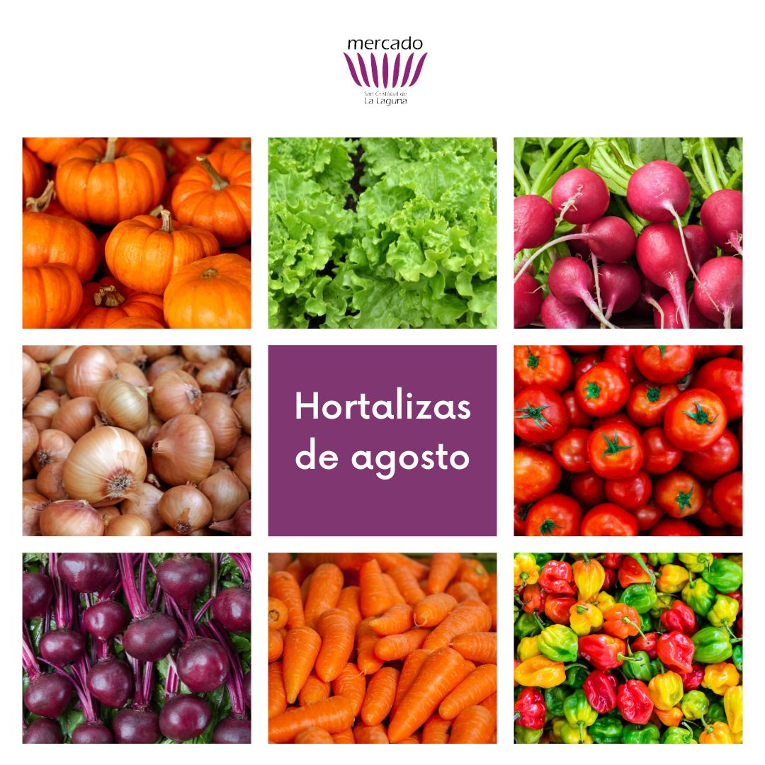 🥕Llena tus platos de color con las hortalizas y verduras de temporada para este mes de agosto.

#mercadodelalaguna #consumelocal #productosdetemporada #hortalizas #verduras