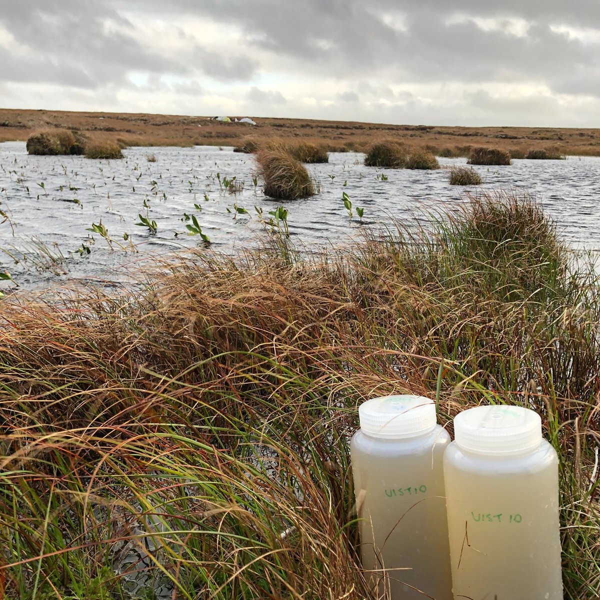 catherinesmoody's tweet photo. I'm so excited to get started on my @NERCscience Independent Research Fellowship at @SoGLeeds @UniversityLeeds, working with some brilliant scientists and peatland practitioners, and doing fieldwork and collecting water samples with my trusty #bogdog https://t.co/hjuvglWAaZ
