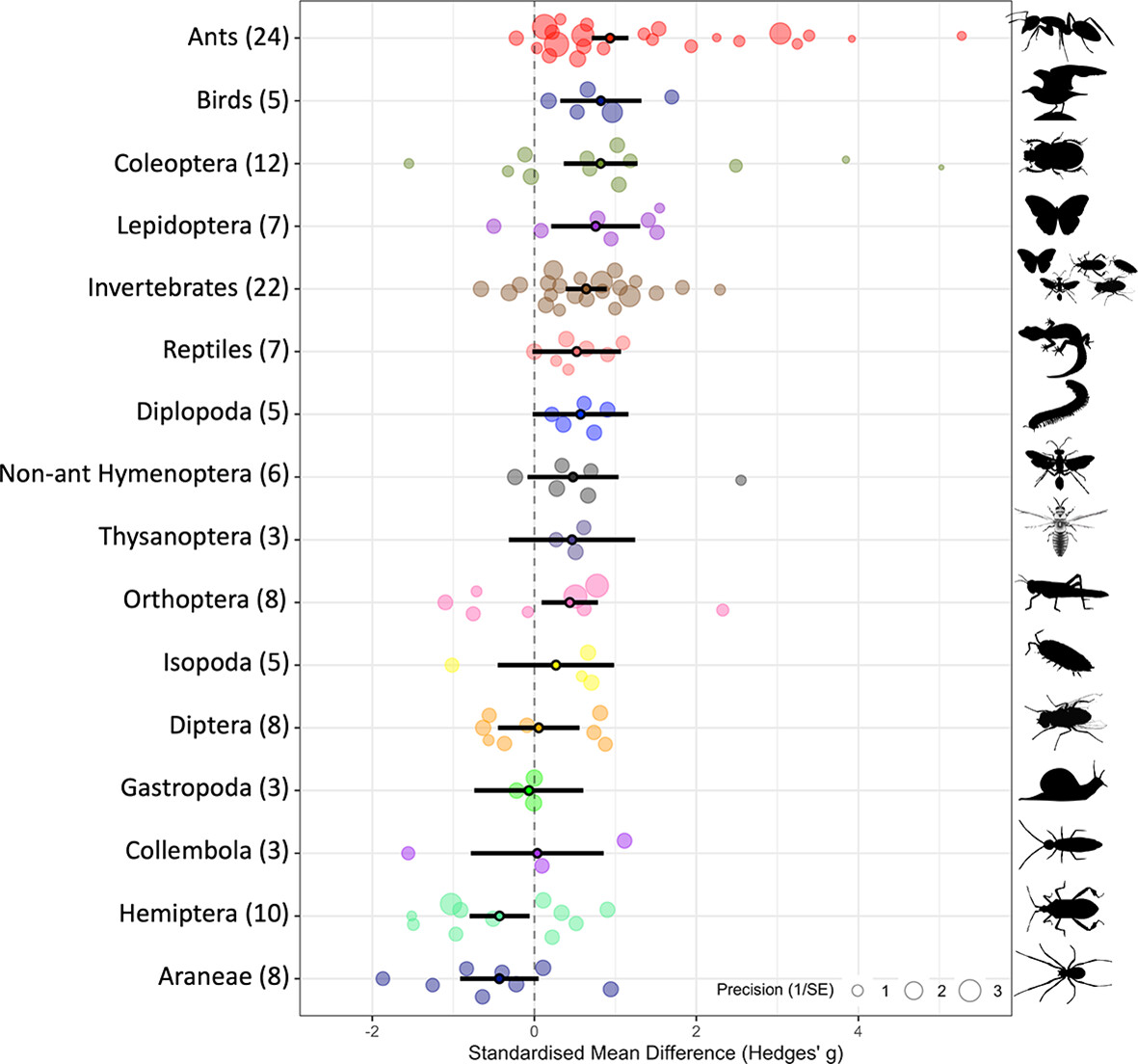 Insect Conservation and Diversity tweet media