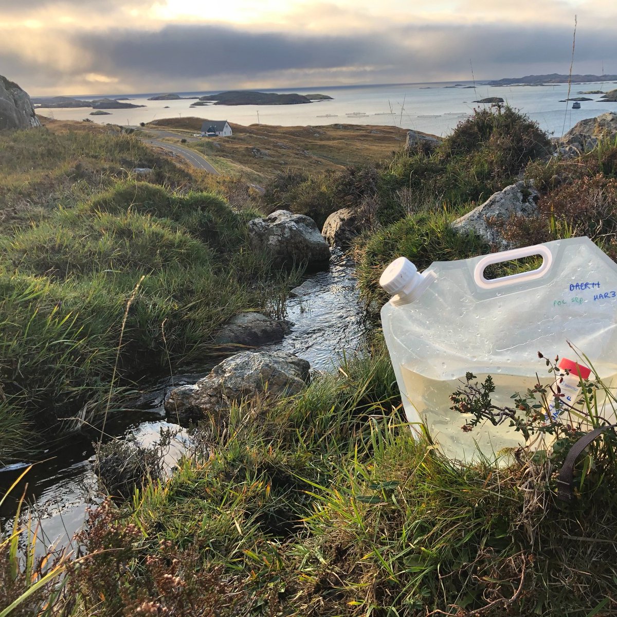 catherinesmoody's tweet photo. I'm so excited to get started on my @NERCscience Independent Research Fellowship at @SoGLeeds @UniversityLeeds, working with some brilliant scientists and peatland practitioners, and doing fieldwork and collecting water samples with my trusty #bogdog https://t.co/hjuvglWAaZ