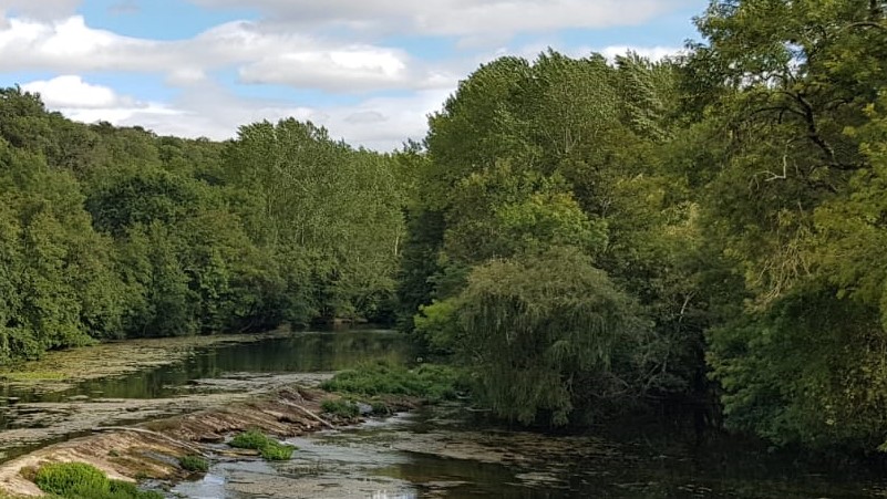 Dienstag 8. August ab Mittag  Exkursion: EVN Revitalisierungsprojekt Petroneller Au. Anschließend Stammtisch im Cafe Menta (Wien; 18:00)
Details/Anmeldung: tinyurl.com/Petronell
<a href="/evnergy/">EVN</a>  #Donau #Grundwasser