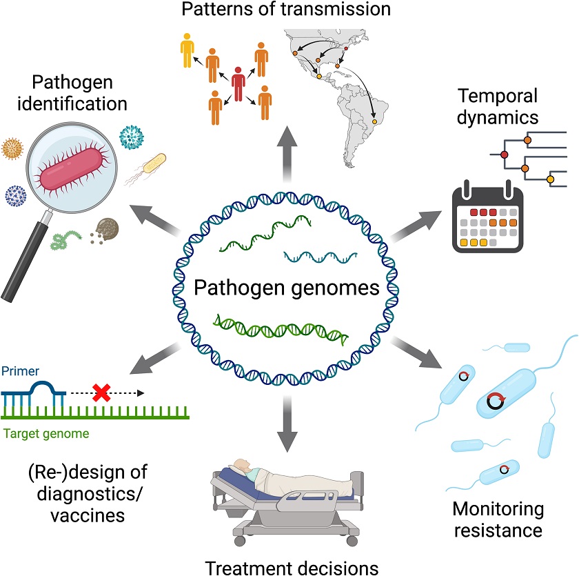 PLOS Biology tweet media
