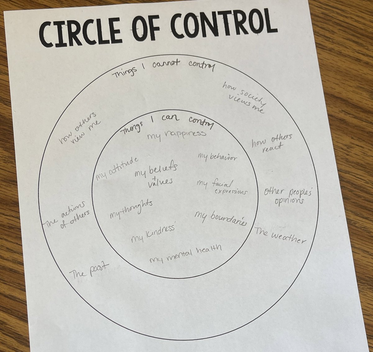 Parent Wellness Series Week 4 ⭐️ Relationship Skills, Circle of Control and began creating a Family Charter 🤗
#RelationshipSkills #SEL #TogetherWeCan