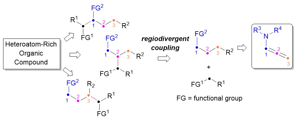 Sieber Lab, VCU tweet media