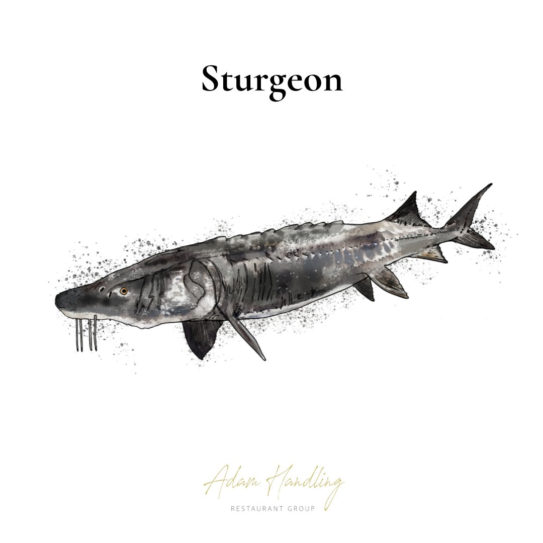 This playful dish showcases the fish we get our caviar from. We produce our own caviar with our friends <a href="/ExmoorCaviar/">Exmoor Caviar</a> and we utilise the sturgeon fish to make a smoked cream to top our savoury waffles.

📍 Frog by #AdamHandling