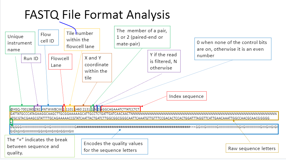 I file format