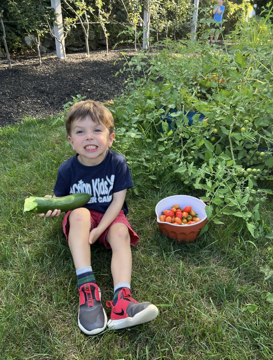lesliebonci's tweet photo. Cultivating an appreciation for produce. Kids need to know how things grow. Hands on-hands in. The why to try. #glamparenting #activeasvice #fuelsofengagement #Haveaplant https://t.co/g3X2vsTsZG