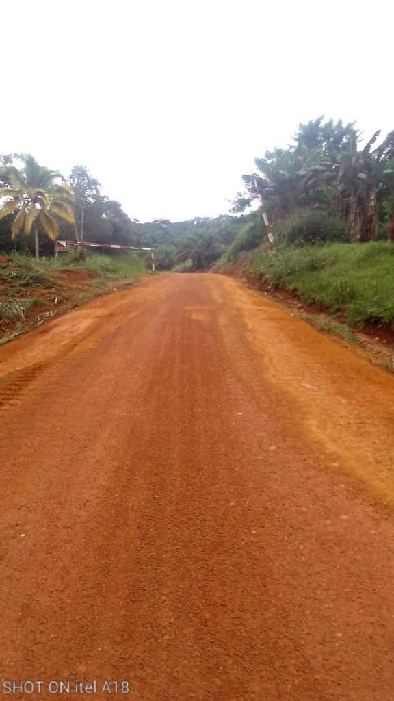 MintpGov's tweet photo. #Ebolowa-#Akom2-#Kribi: Since 6 June 2023, the RDPW-South has been carrying out works under direct labour on the Ebolowa-Akom2-Kribi road. The ongoing operation which has been instructed by the Minister of Public Works, has so far enabled a smooth traffic flow over roughly 50 km. https://t.co/4EkyV4xoW3