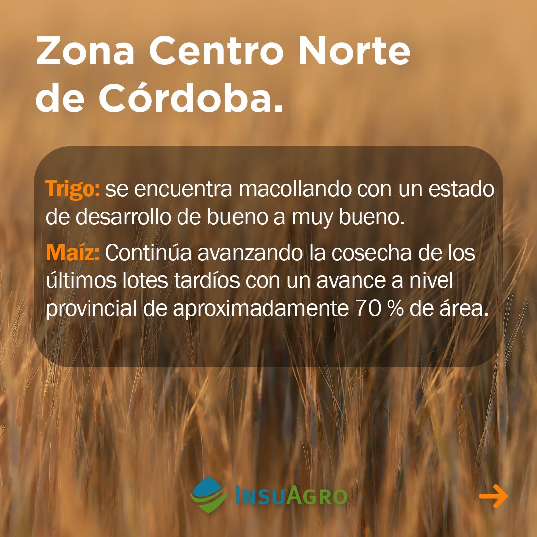 Les compartimos Información provista por la red de distribución de InsuAgro en conjunto con los Supervisores Zonales de cada una de las zonas.

#InsuNews #Insuagro #agronomia #Noticias #agosto #Argentina