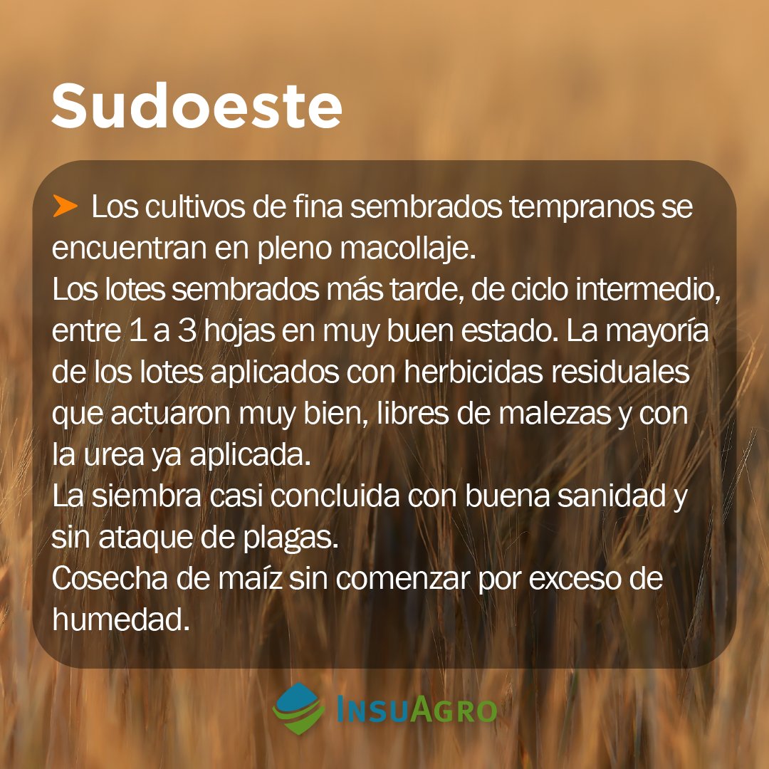 Les compartimos Información provista por la red de distribución de InsuAgro en conjunto con los Supervisores Zonales de cada una de las zonas.

#InsuNews #Insuagro #agronomia #Noticias #agosto #Argentina