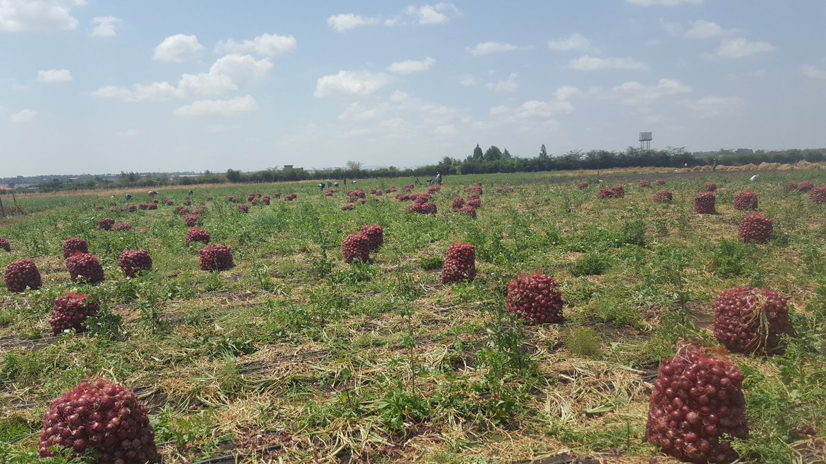 Soil Fertility Clinik Kenya tweet media