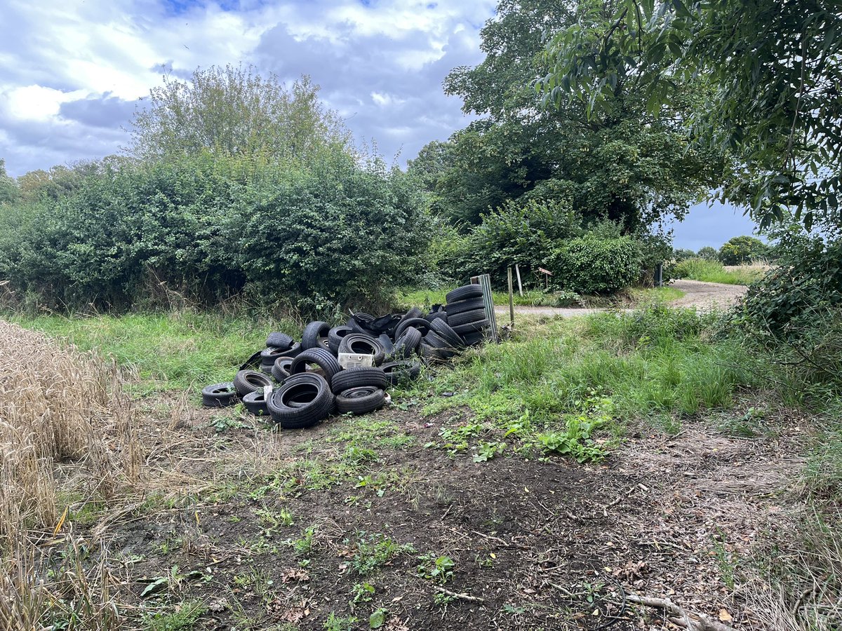 HBunbury1's tweet photo. All tyres - a few addresses found so hopeful of getting the culprit. Will the courts support us though? @EADT24 @BBCLookEast @CLAEast @theresecoffey #Flytipping #countryside https://t.co/gqgh5TuBSz