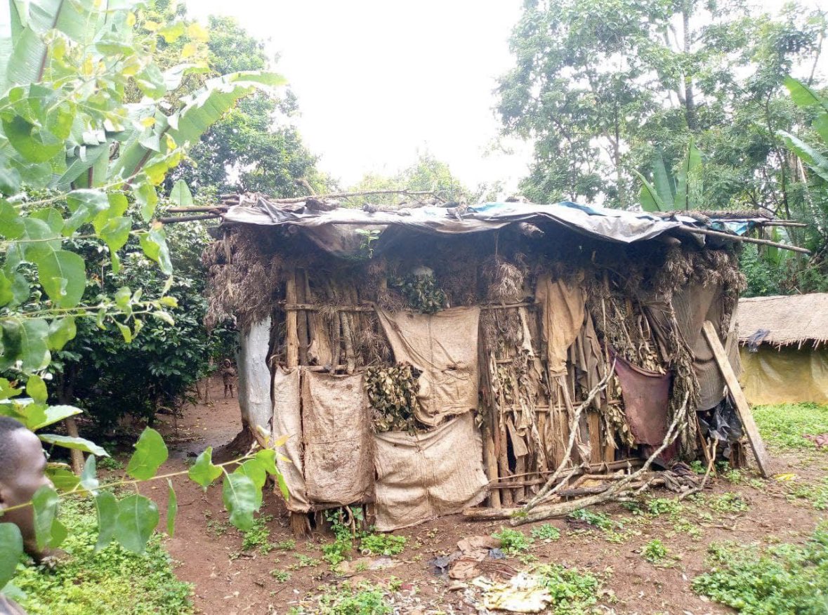 JMichael_Smith's tweet photo. Ardent Children Center staff and volunteers will rebuild four widows’ houses in #Yirgacheffe in the coming few days. Thanks for all volunteers and sponsors for rendering your helping hands!! 🙏🏼 🙏🏼

#ACC, #ArdentCoffee, #humanity, #RebuildingTogether https://t.co/02YWEoxHAX