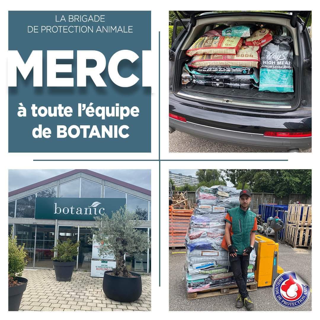 Brigade_BPA's tweet photo. MERCI au magasin @botanic_fr de Mulhouse qui nous a offert une palette de plus d'une tonne de croquettes !

Nous souhaitons exprimer notre gratitude envers ce partenaire engagé dans la #causeanimale et qui soutient nos actions en mettant à l’honneur nos protégés à l'#adoption 🙏 https://t.co/tyfAAo6WSp