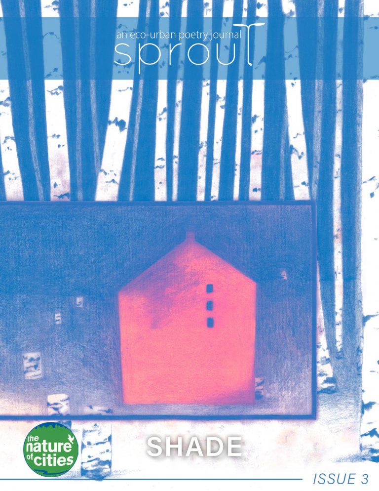 Issue 3 of TNOC's eco-poetry journal, SPROUT, is now available. This theme of this issue is 'Shade', with twelve poems and 3 meditations, artists from six countries. #sproutecopoetry buff.ly/3lOrDf1