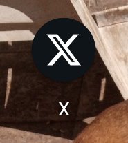 #Twitter oficialmente está muerto.
Buena vida a #X 💪💪💪