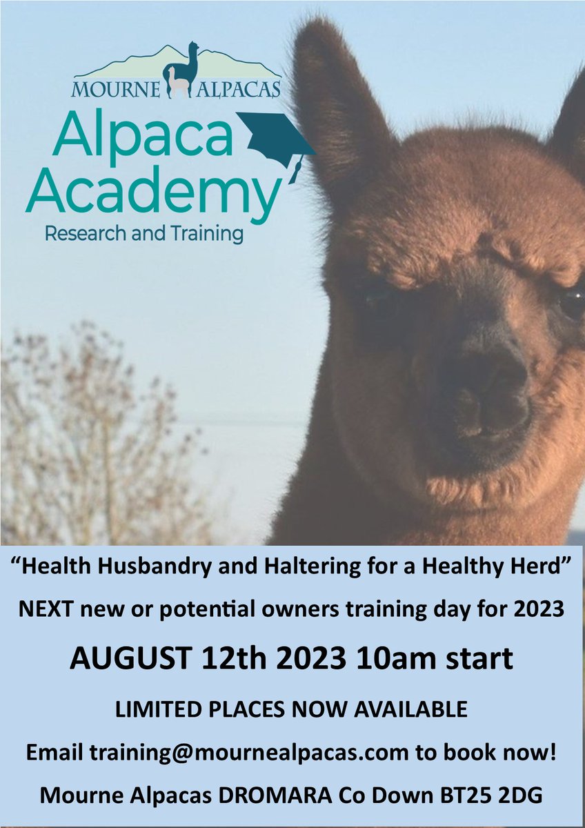 MourneAlpacas's tweet photo. Check out this ad on DoneDeal https://t.co/rxnlUtwMpV #donedeal https://t.co/JDEipi7oFB