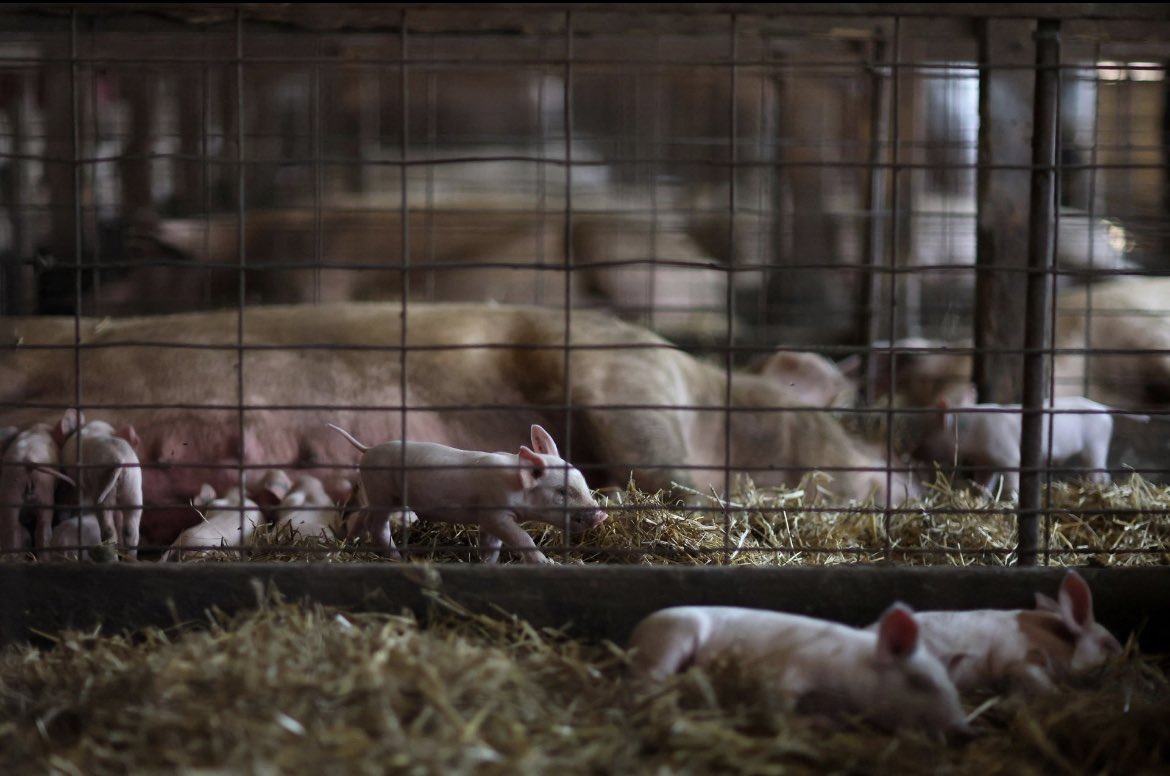 Leah Douglas tweet media